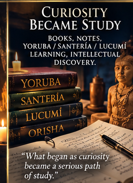 04 Curiosity Became Study