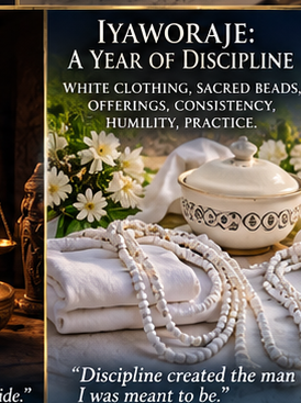 09 Iyaworaje A Year Of Discipline