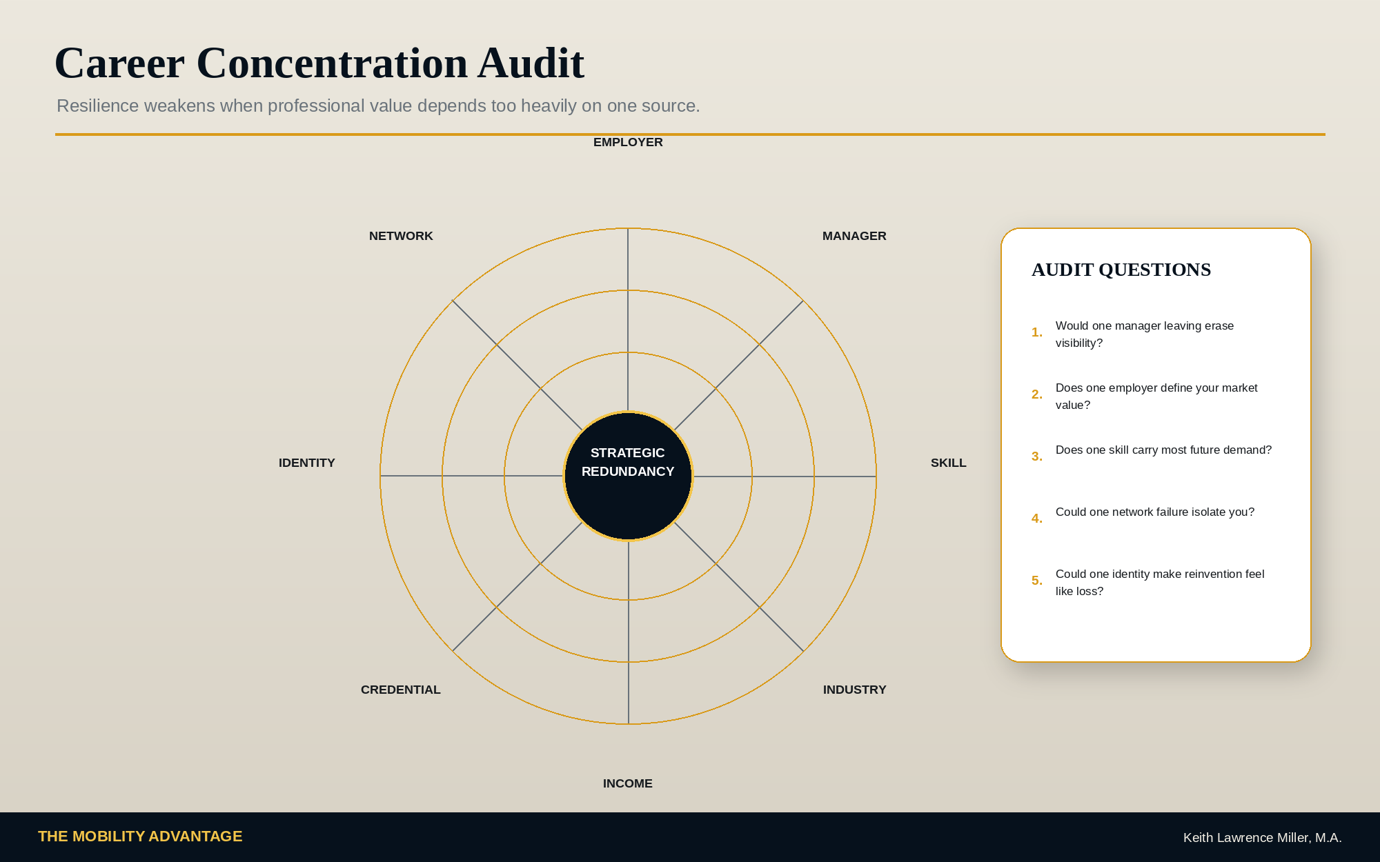 Career Concentration Audit showing employer, manager, skill, industry, income, credential, identity, and network concentration